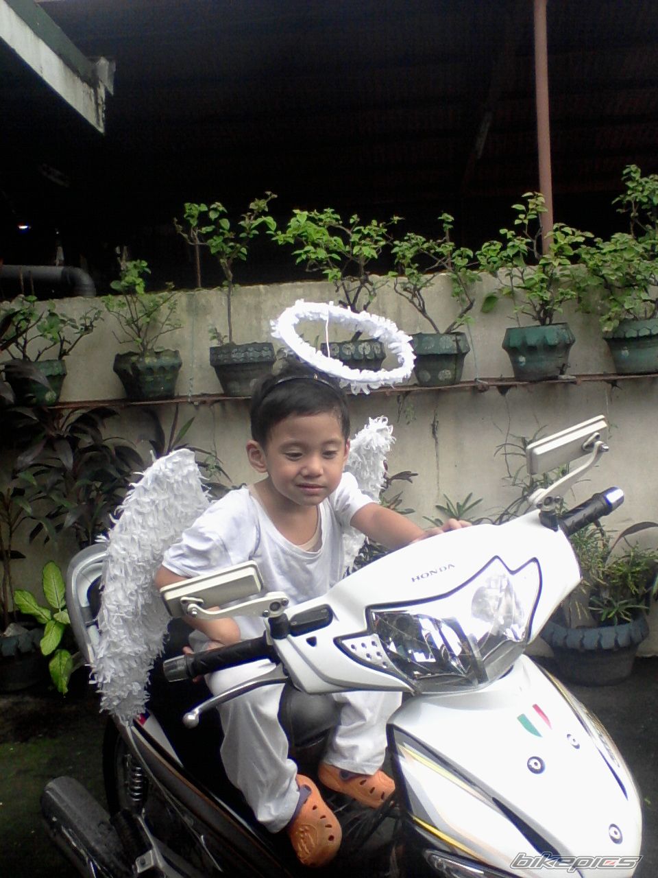 Bike Photo 2090933