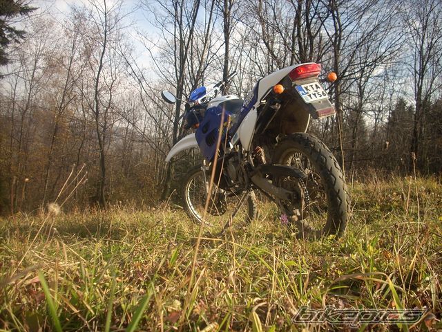 Photo 2091306