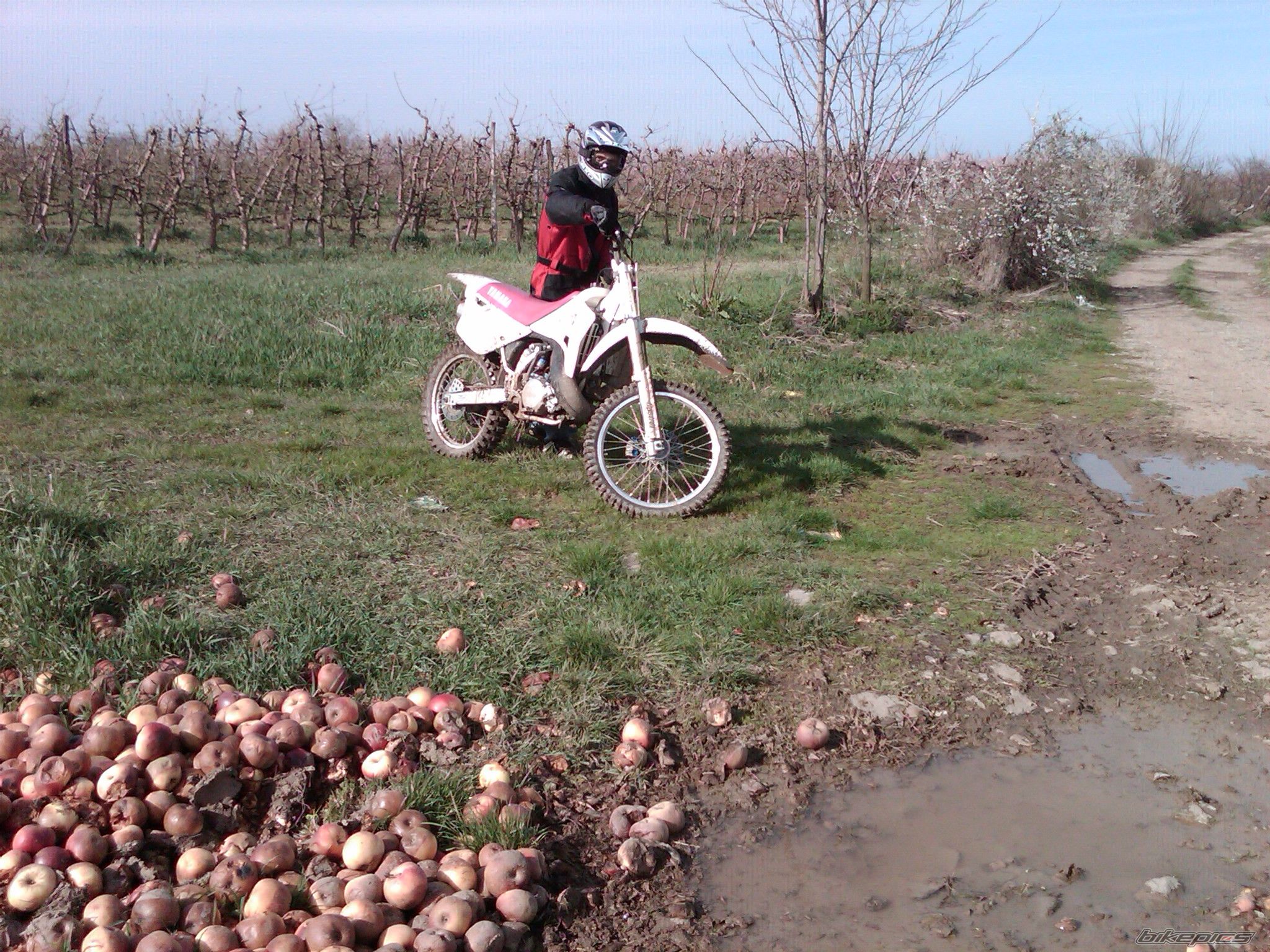 Photo 2091379