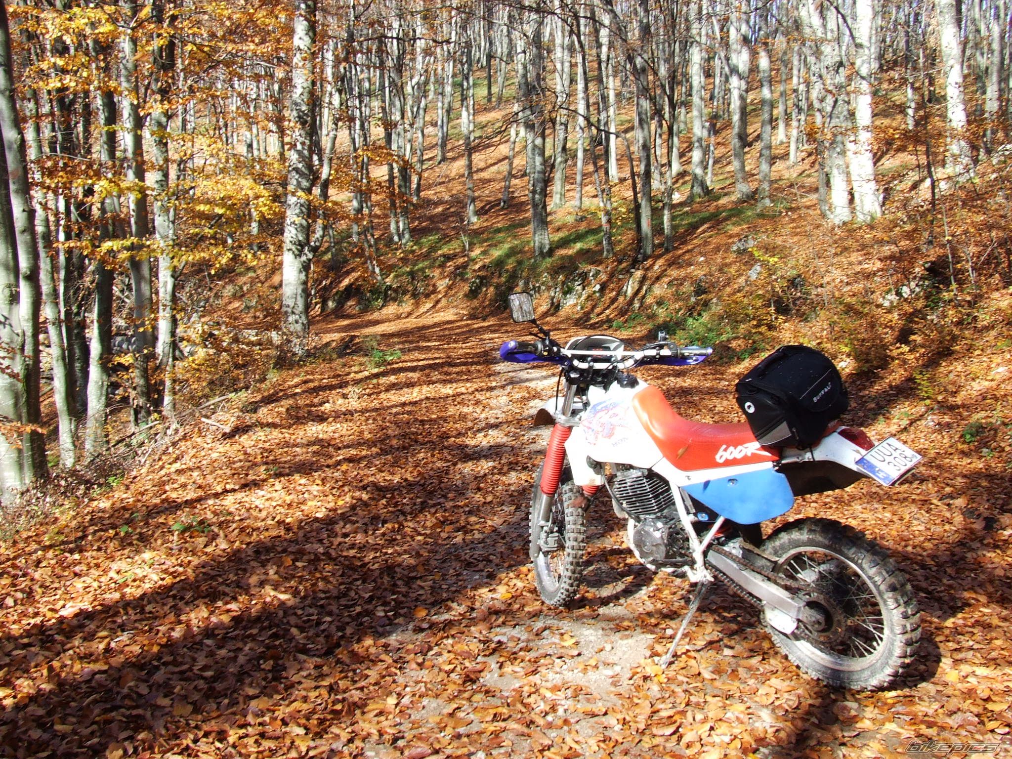 Bike Photo 2091482