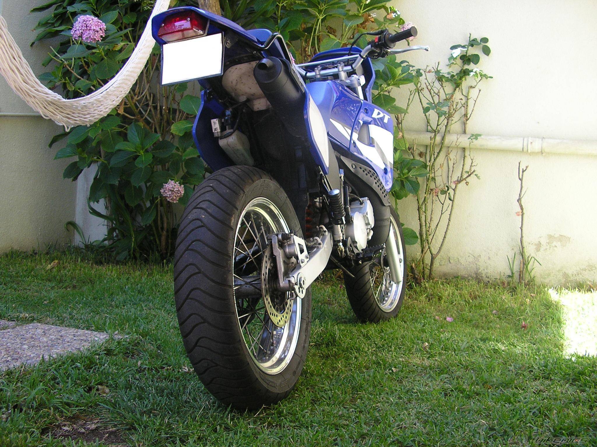 Photo 209215