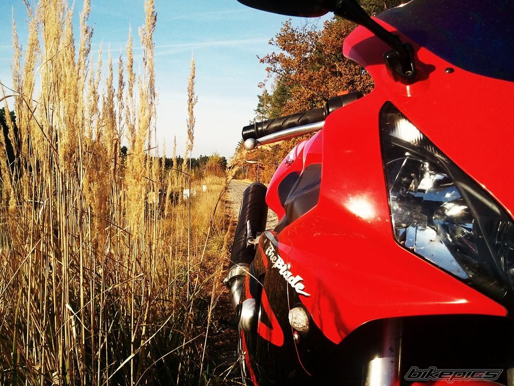 Photo 2092233