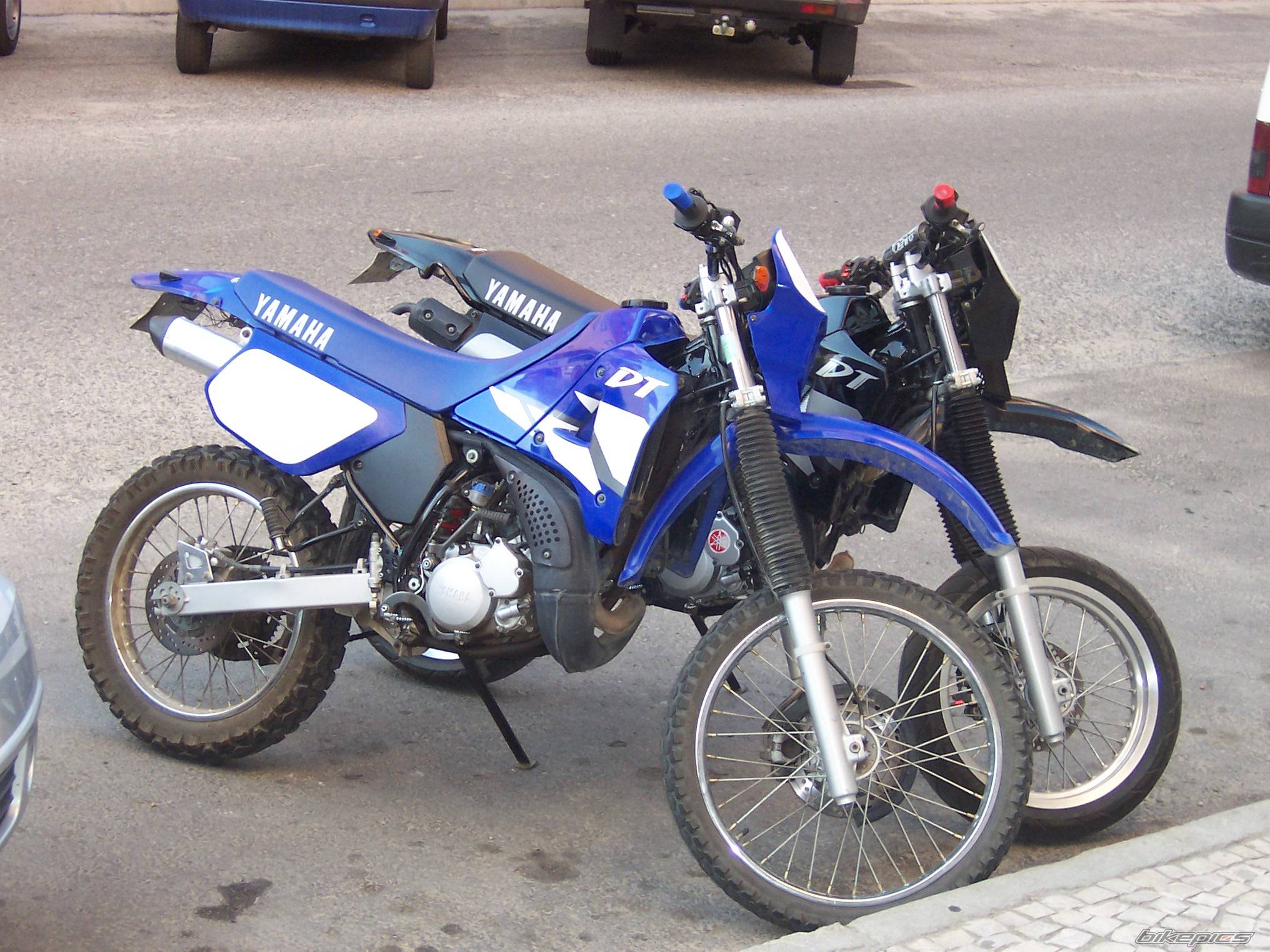 Photo 209256