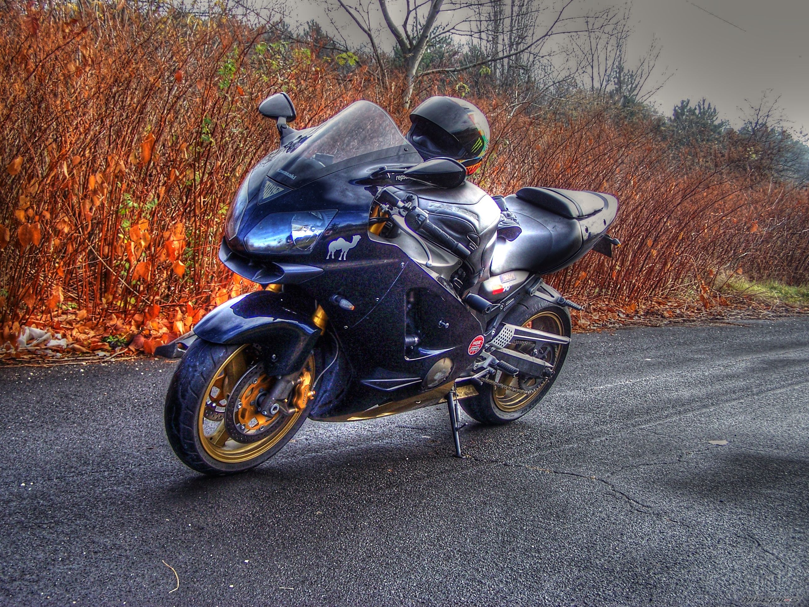 Photo 2092655