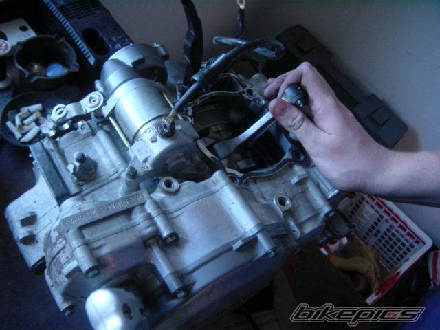 Photo 209267