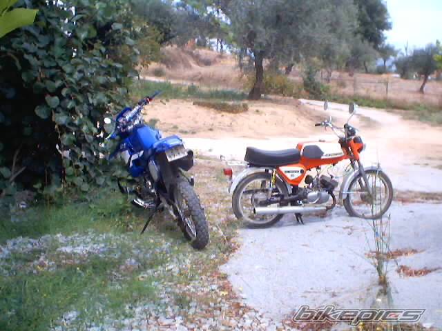Photo 209281