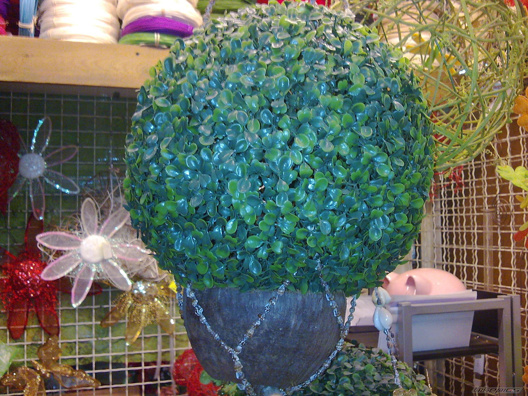 Photo 2092813