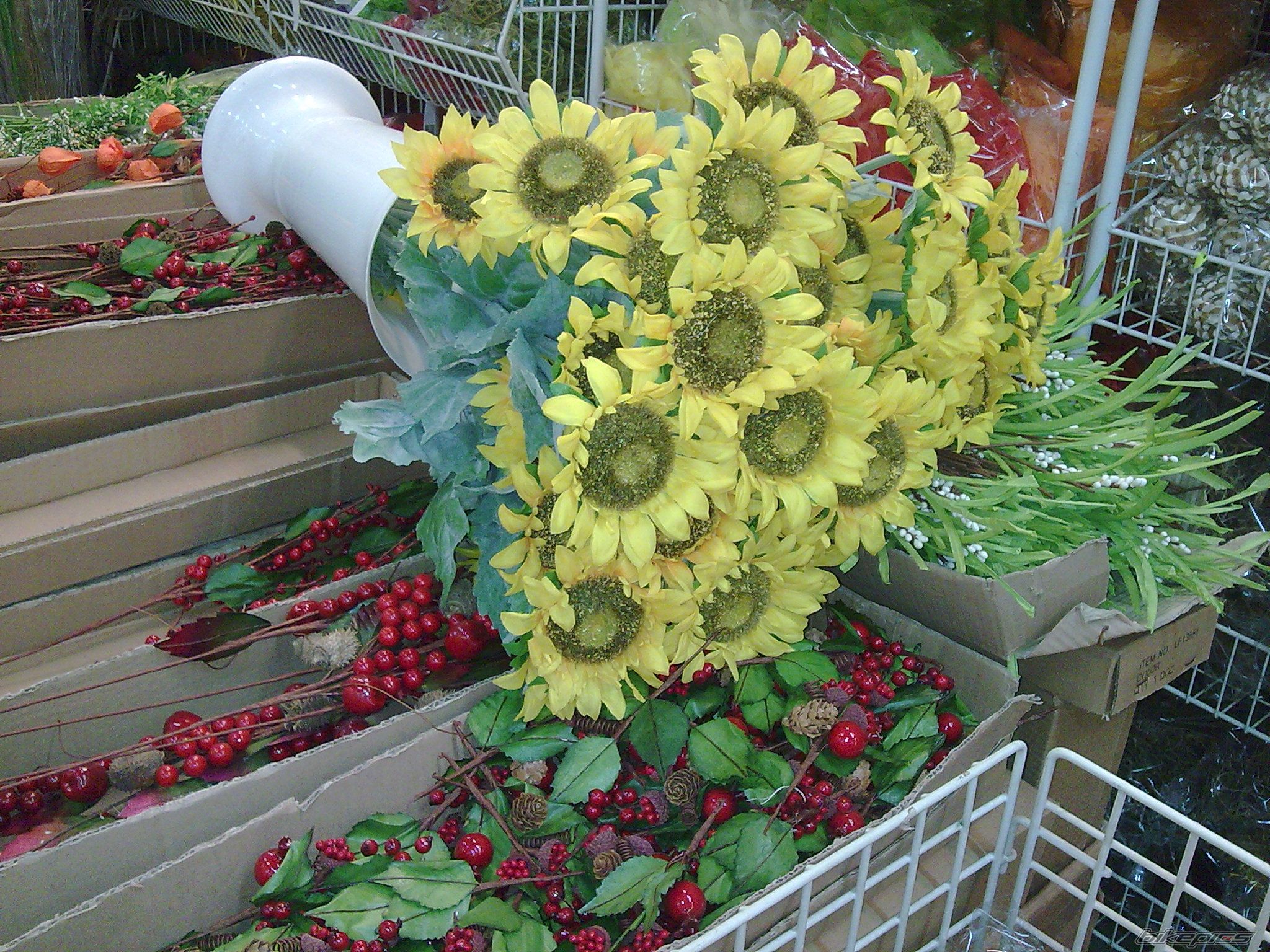 Photo 2092814