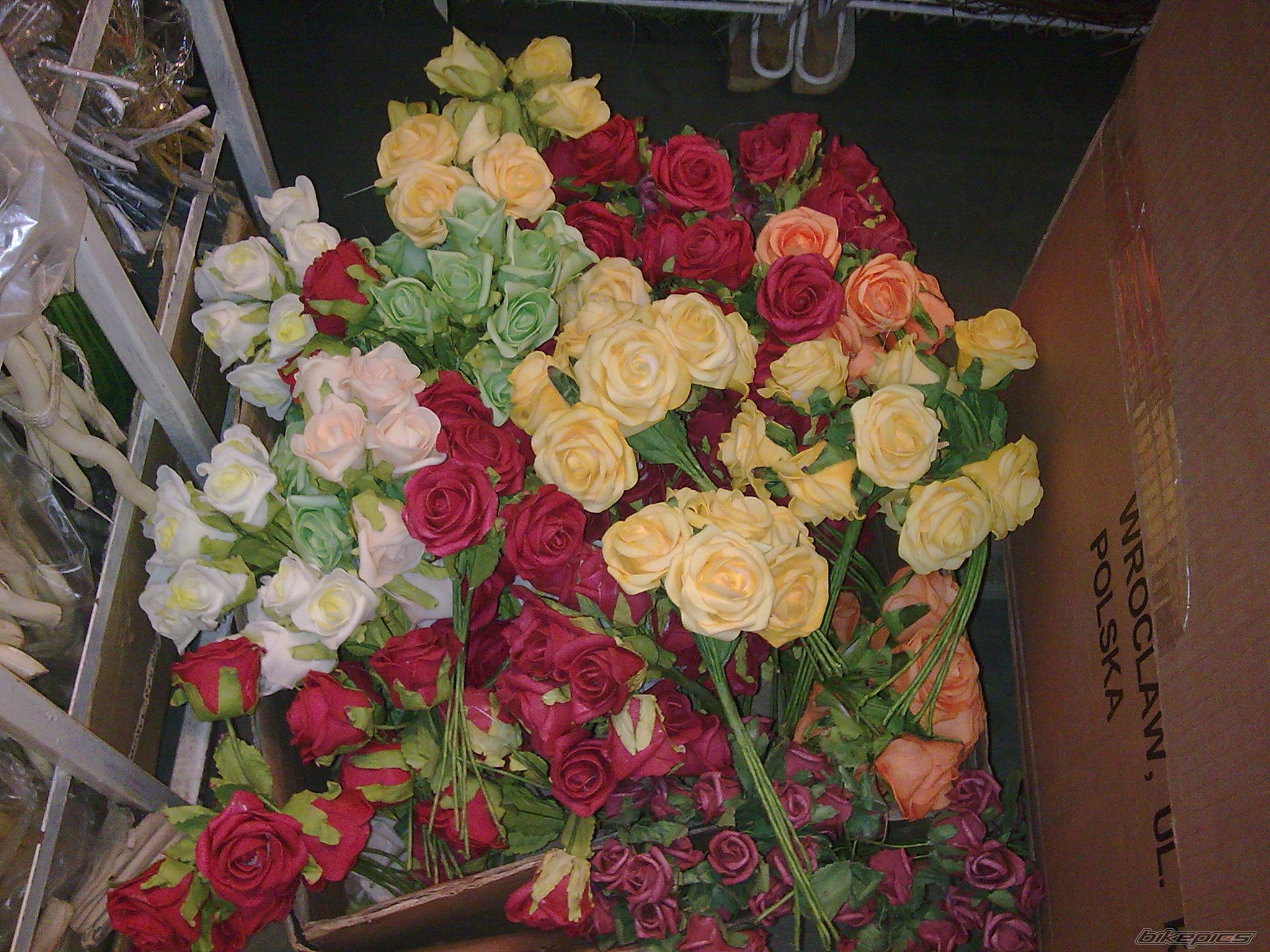 Photo 2092816