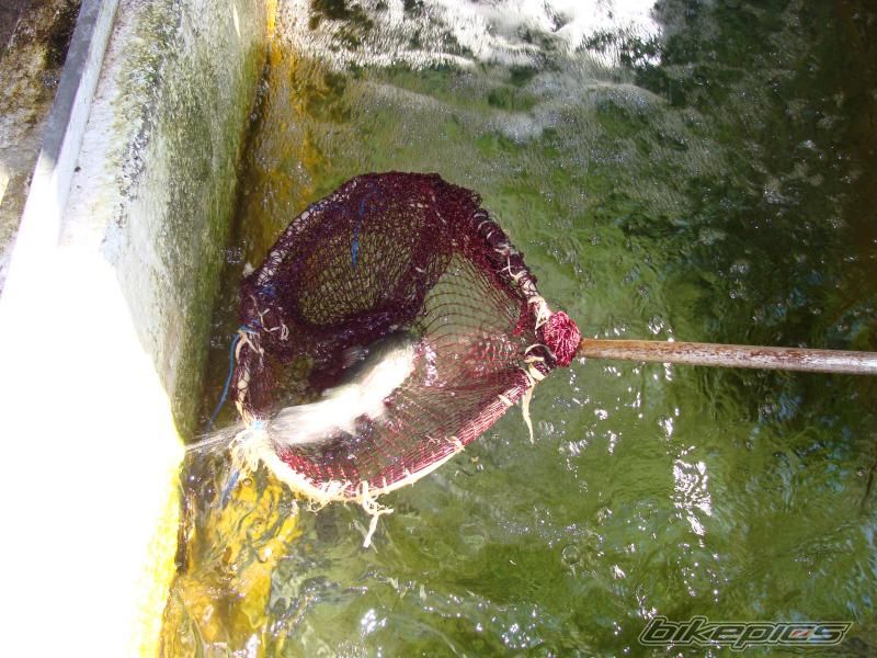 Photo 2092990
