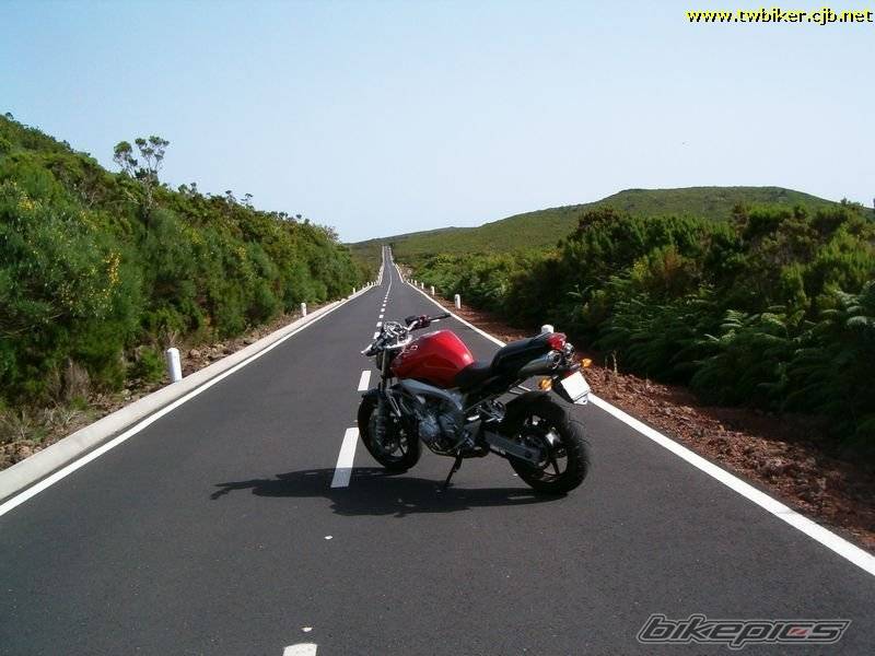 Photo 209311