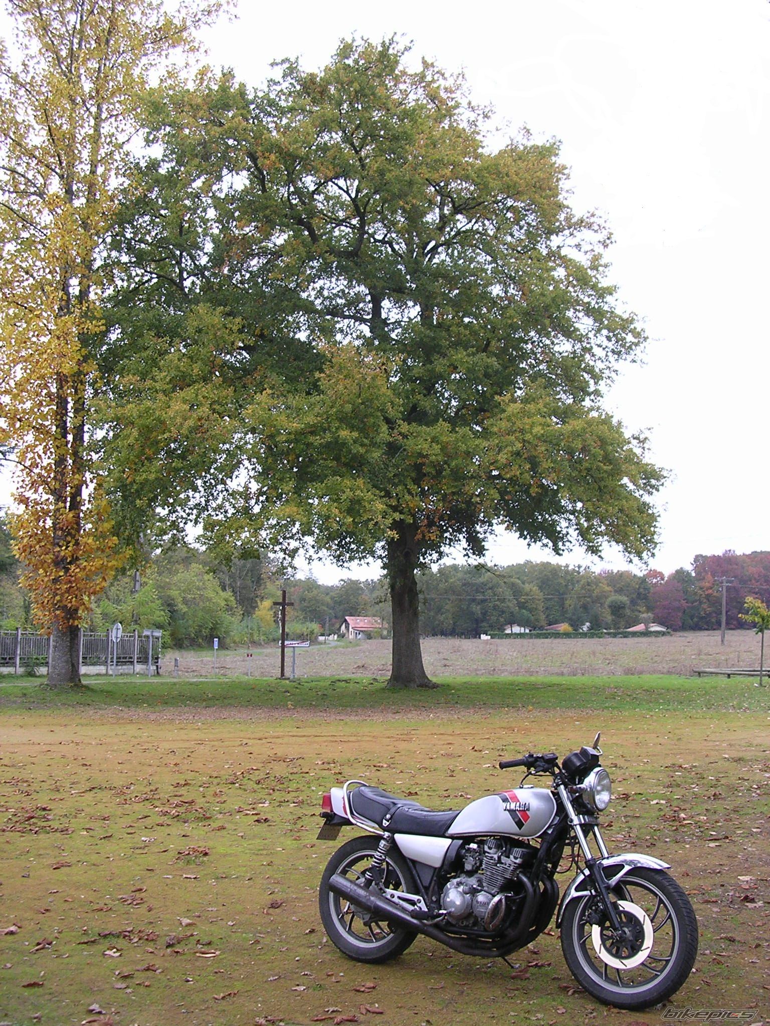 Bike Photo 2093130