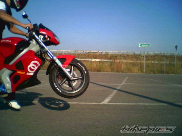Photo 209332