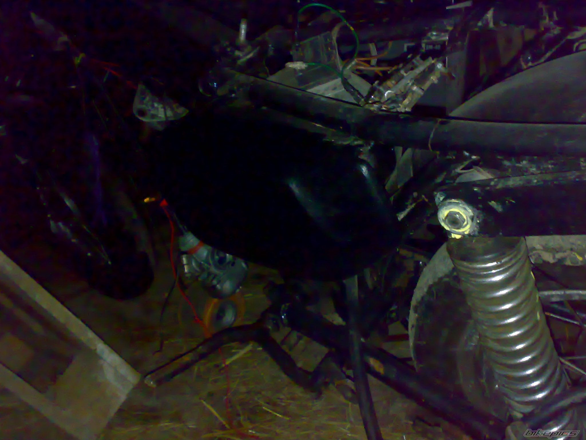 Photo 2093341