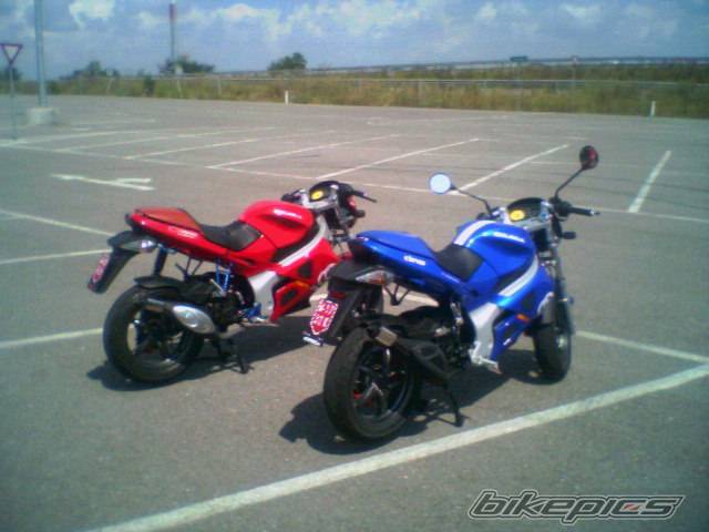 Photo 209337