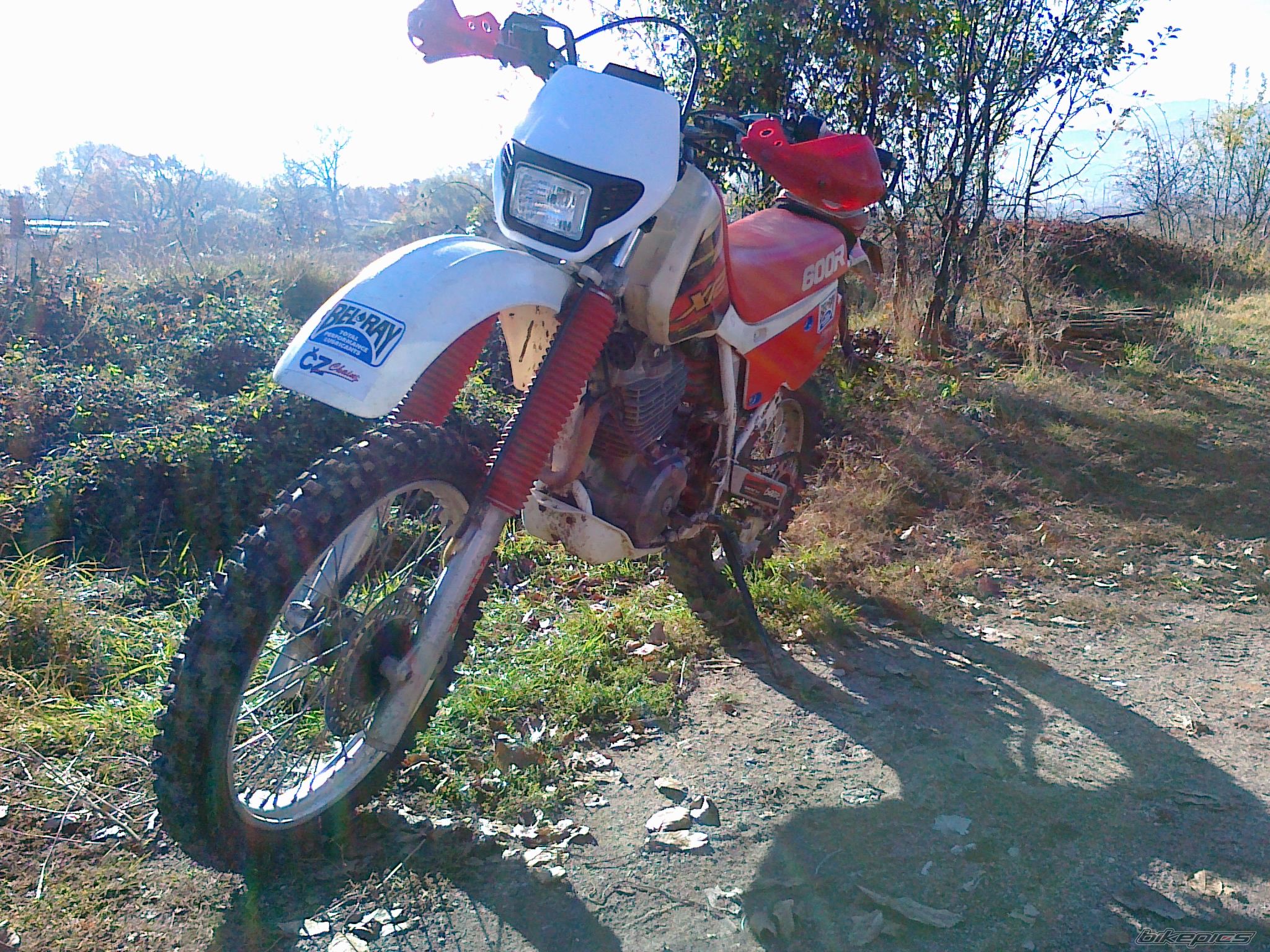 Photo 2093479