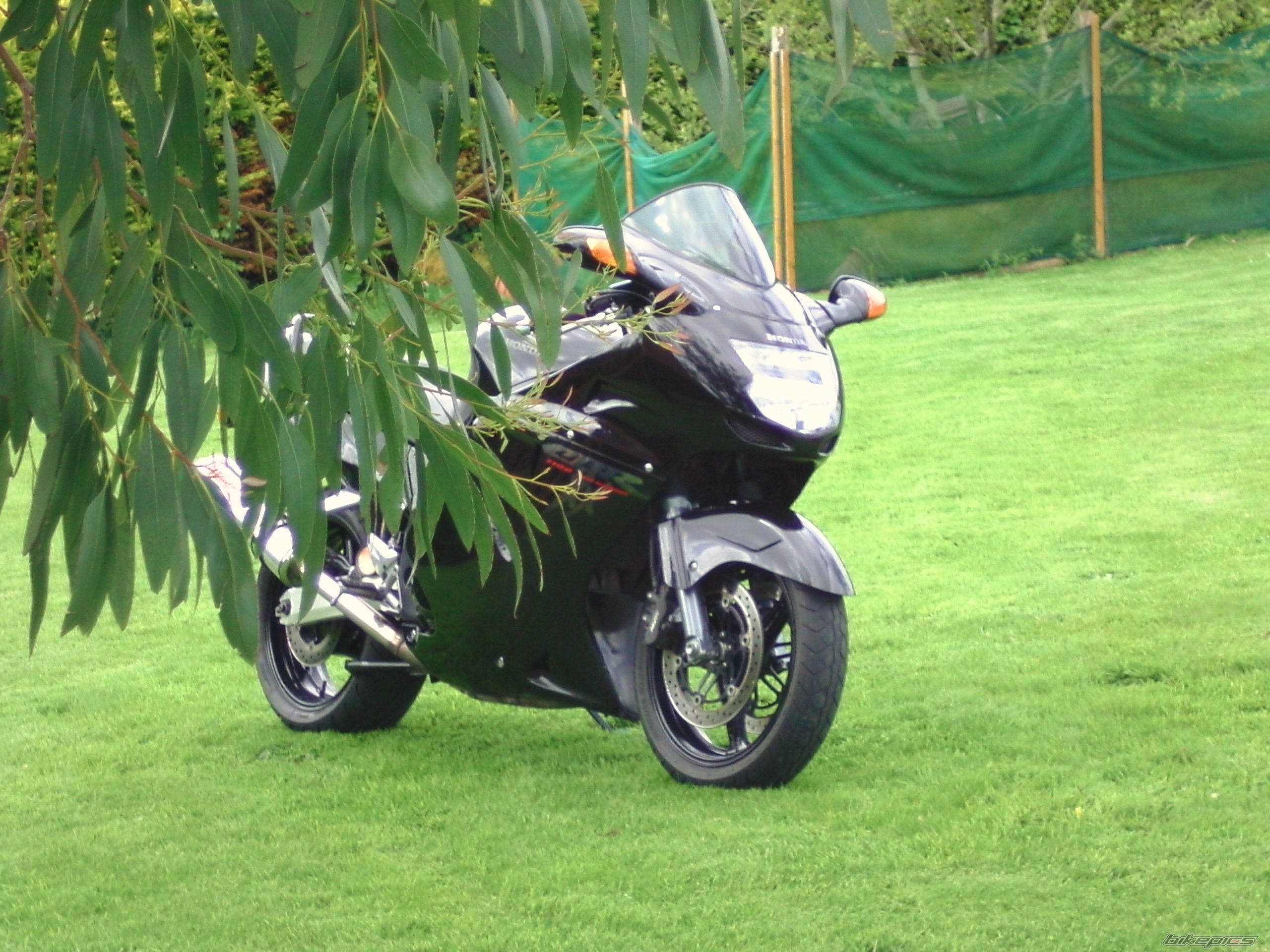 Photo 2093582