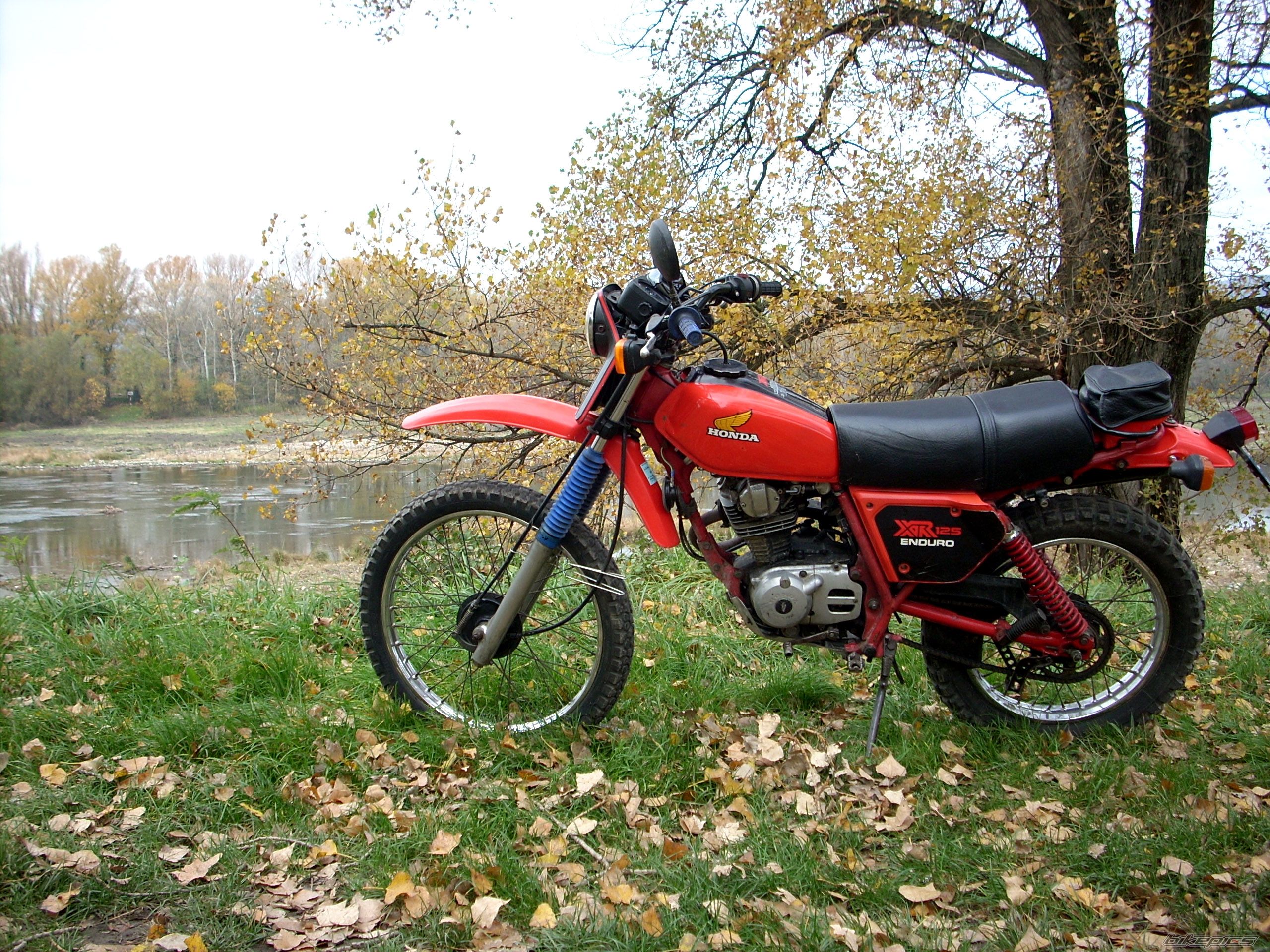 Photo 2093782