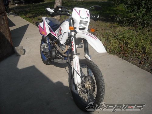Photo 2093833