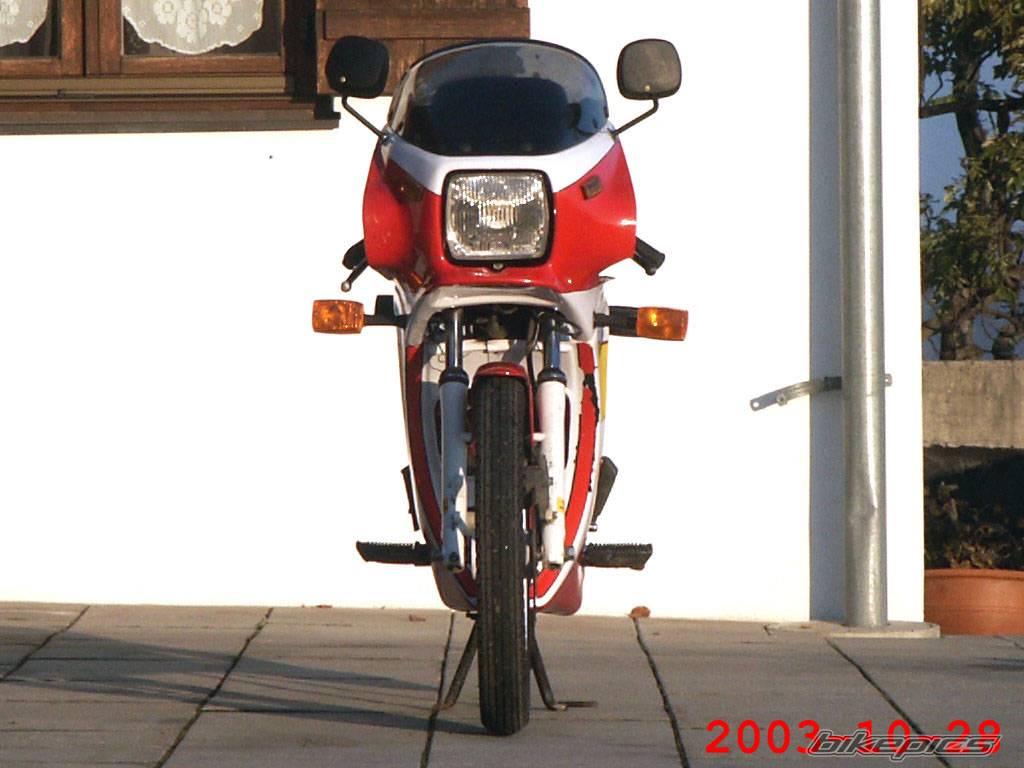 Photo 209386