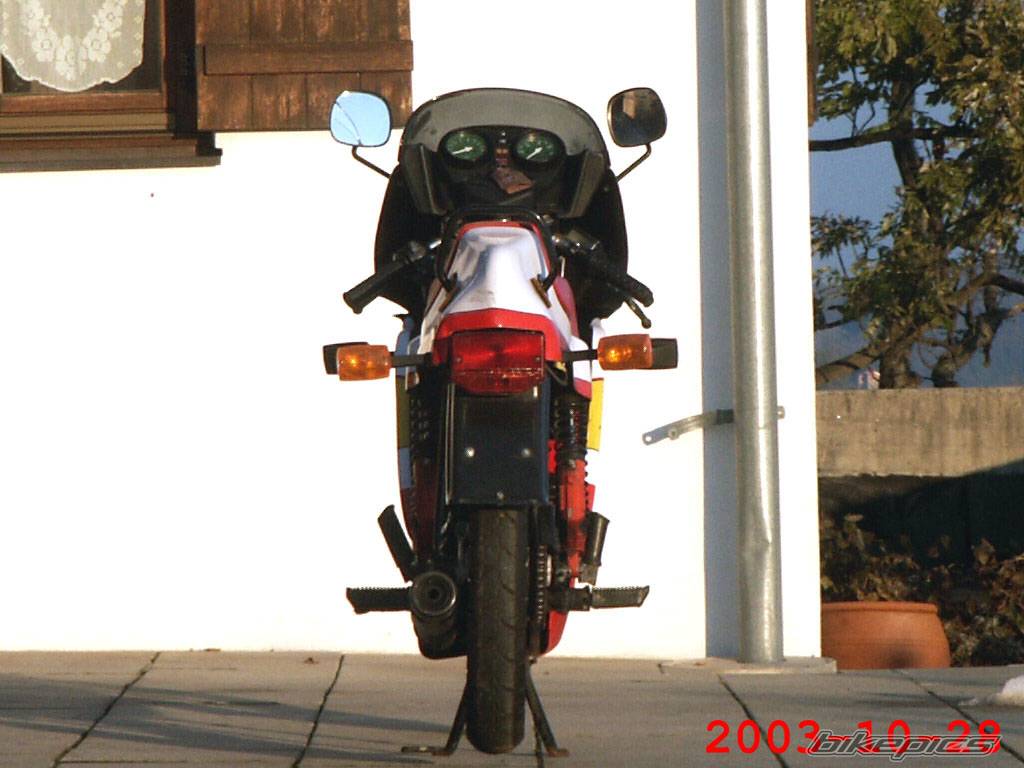 Photo 209389