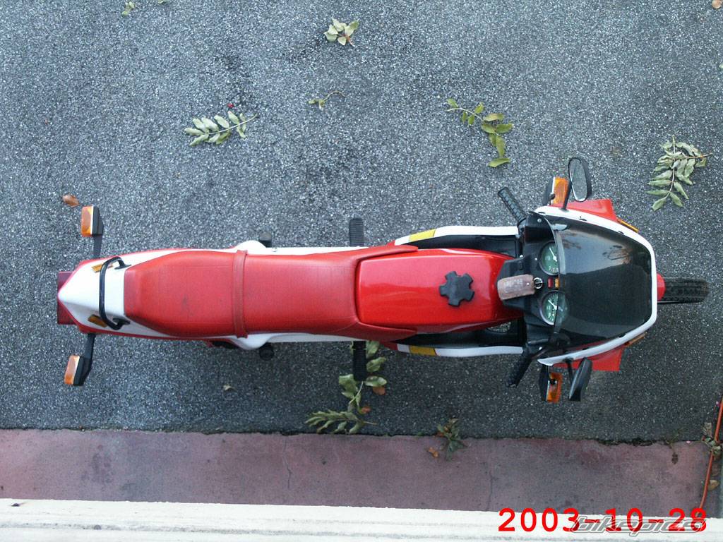 Photo 209390