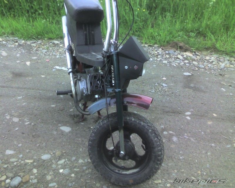 Photo 2094082