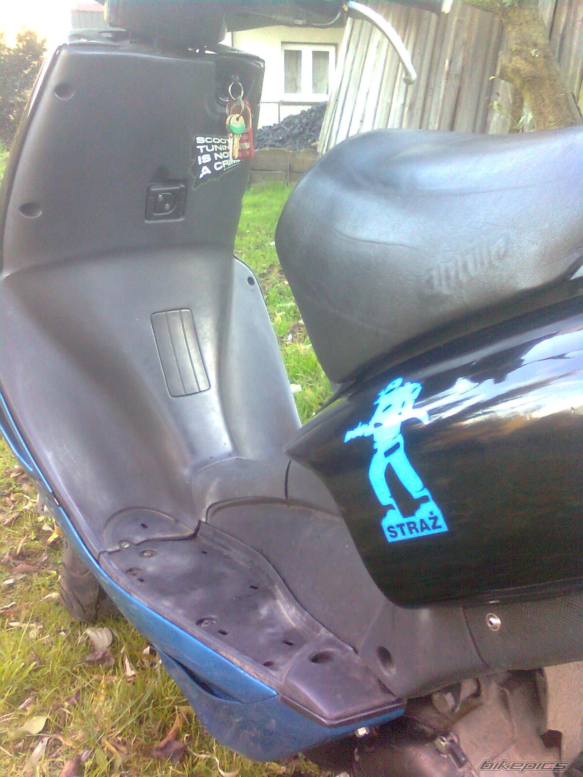 Photo 2094275
