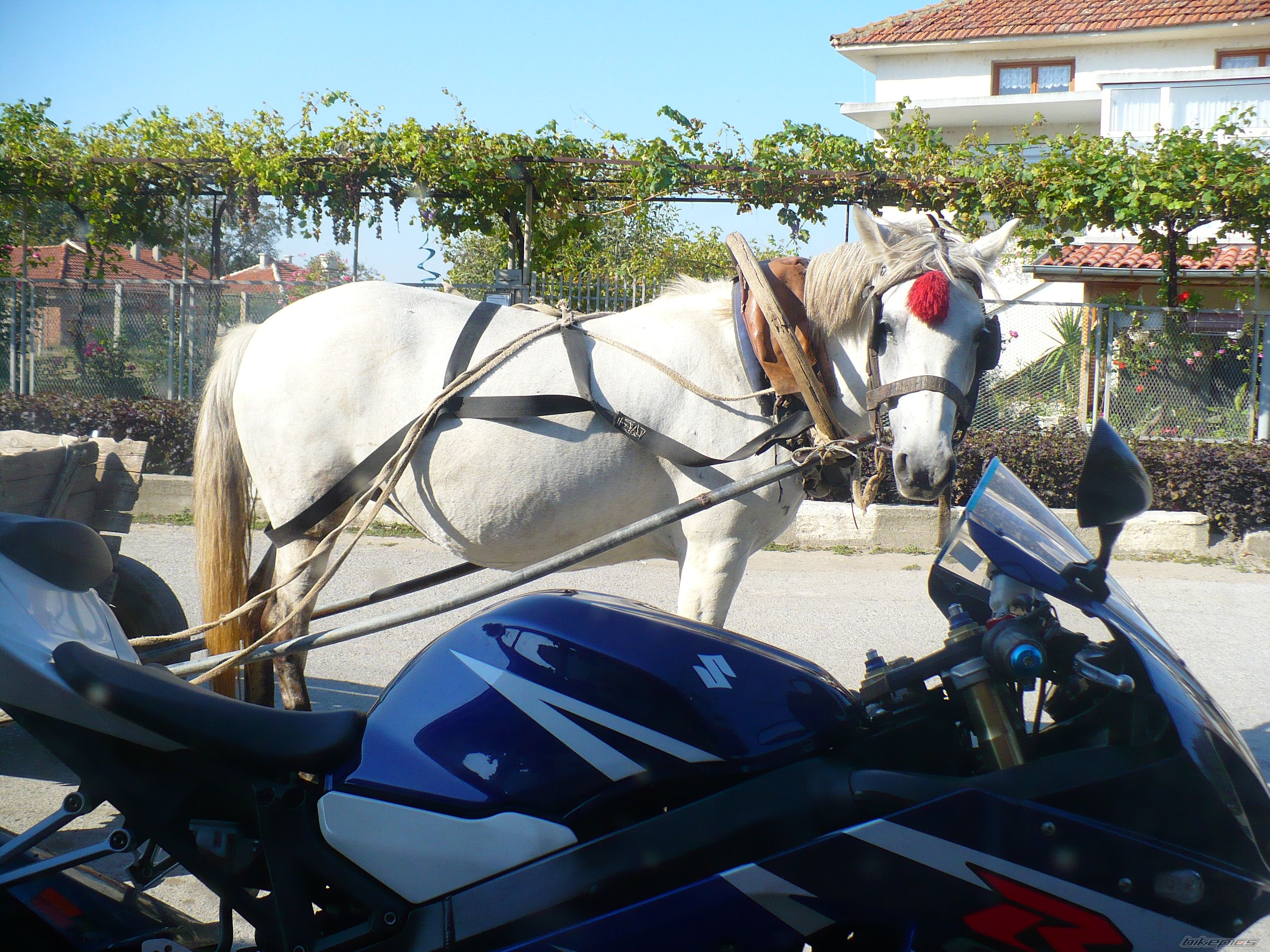 Photo 2094320