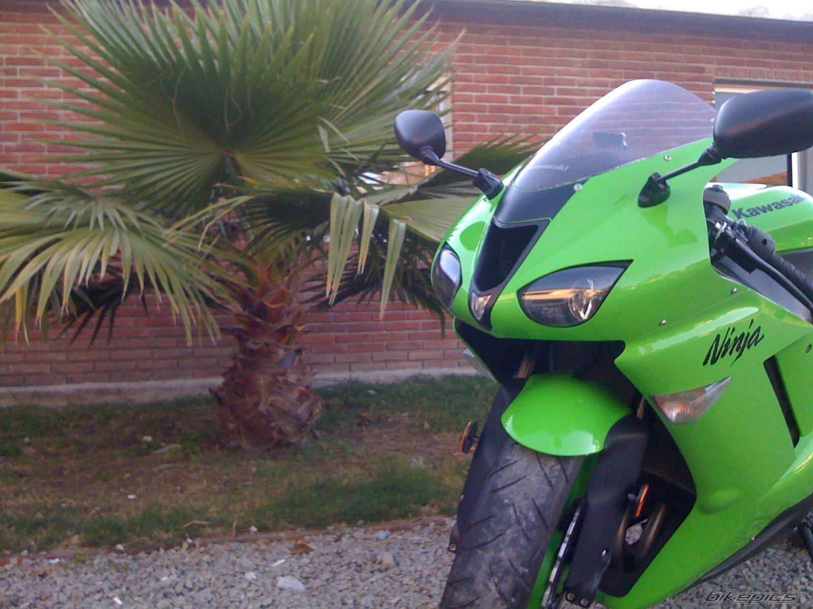 Photo 2094392