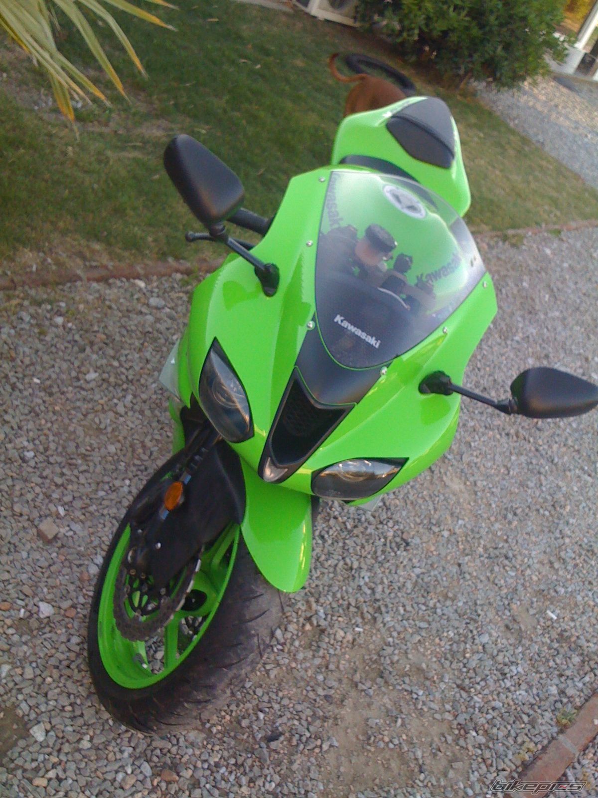 Photo 2094396