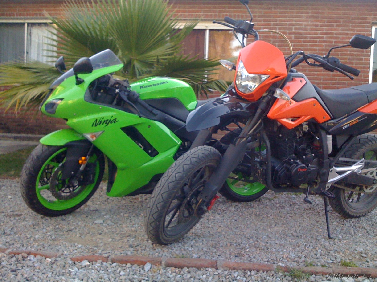 Photo 2094404