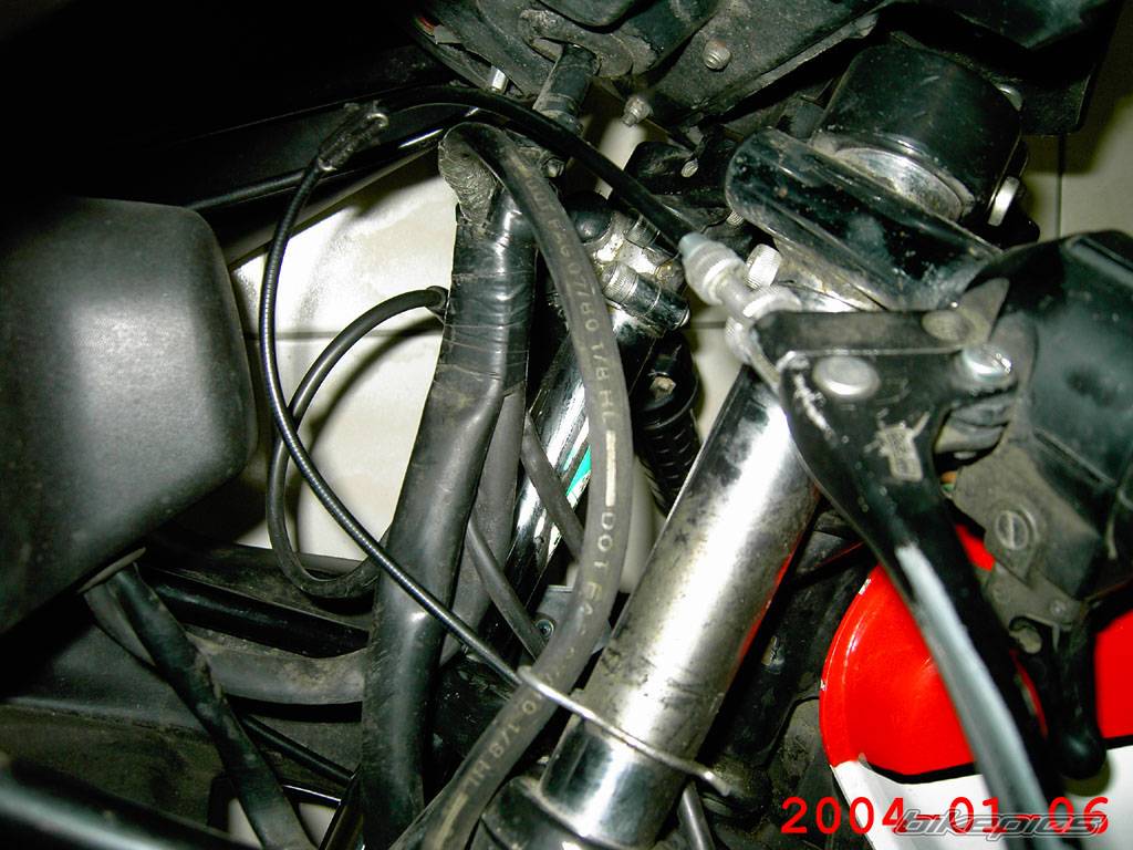 Photo 209472