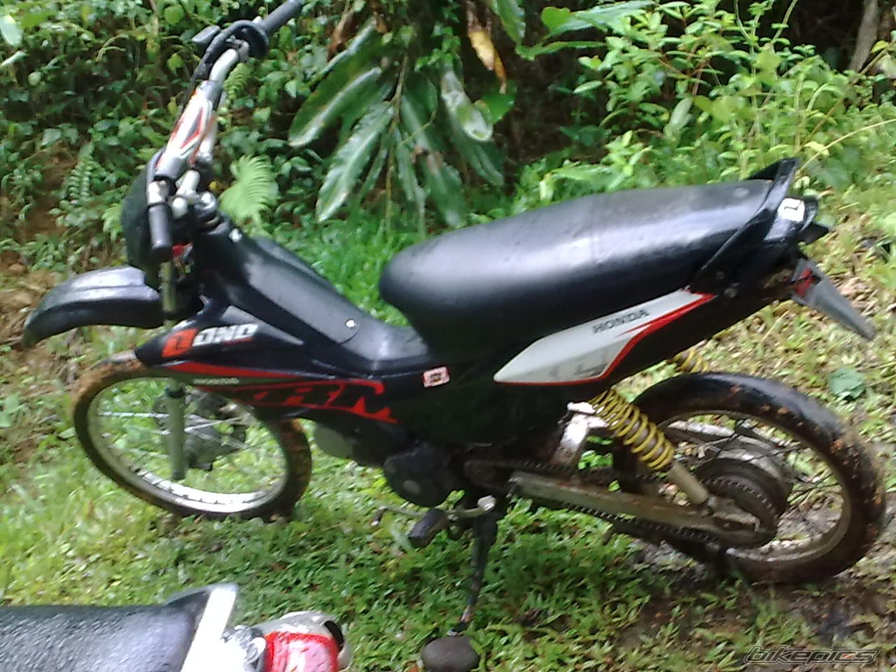 Photo 2094978