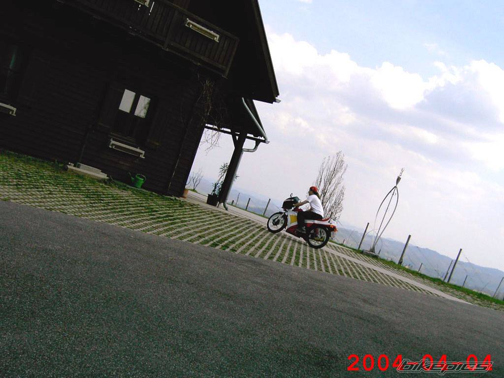 Photo 209513