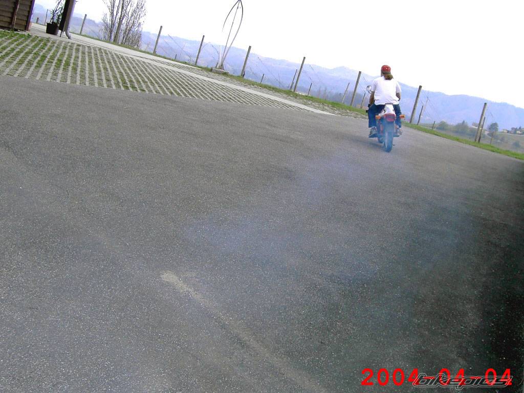 Photo 209521