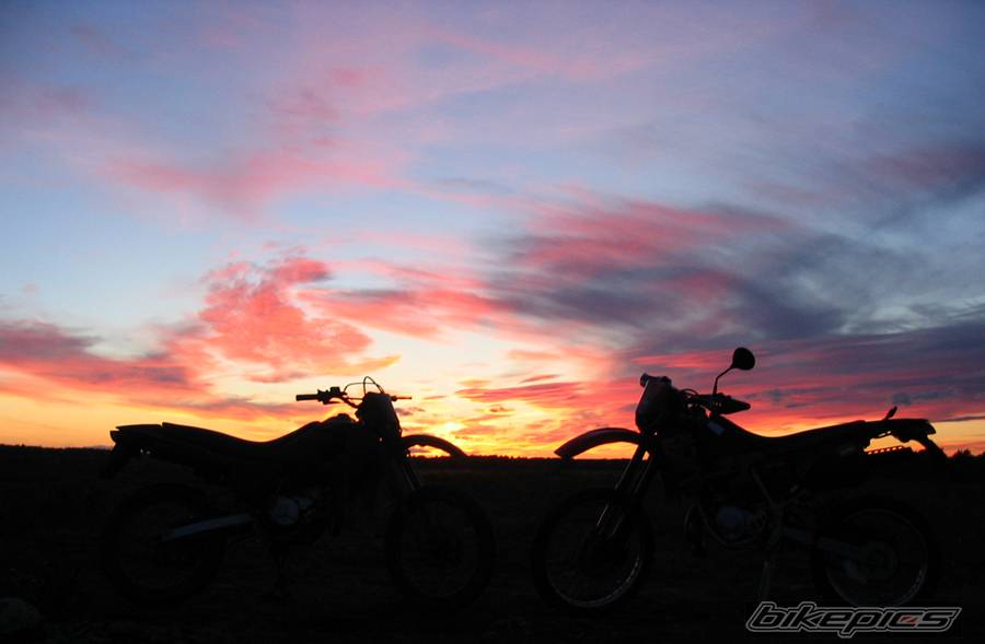 Photo 209522