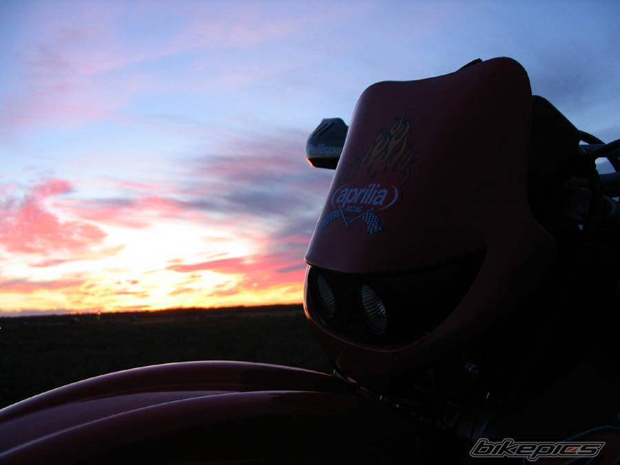 Photo 209526
