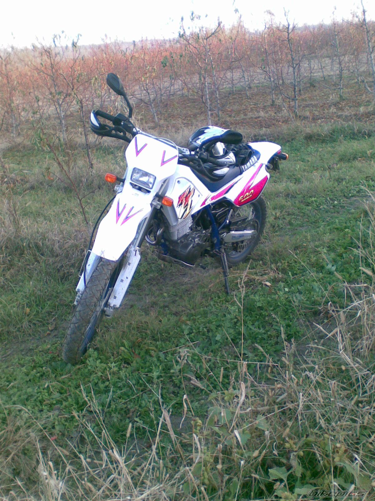 Photo 2095475