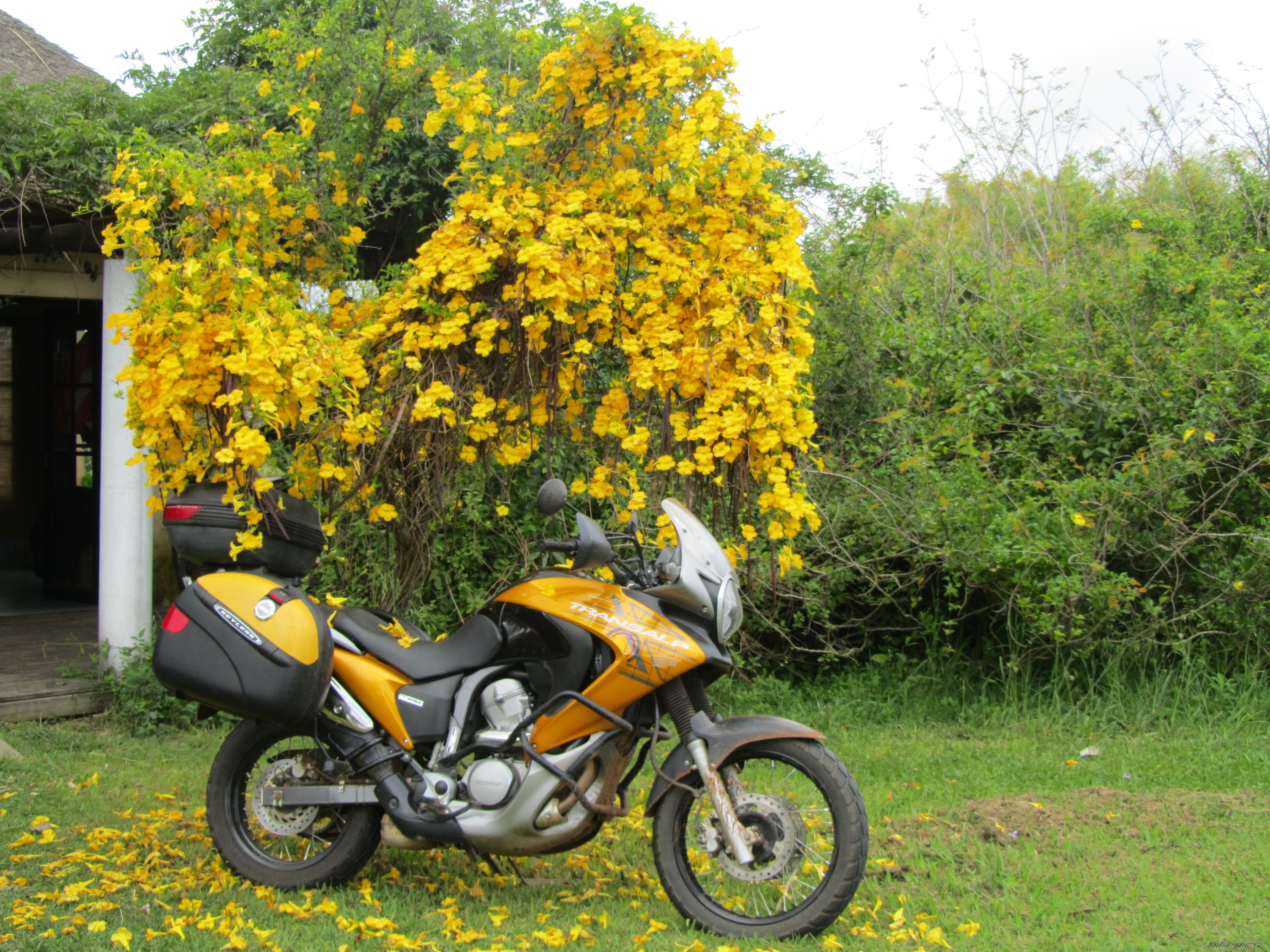 Photo 2095623