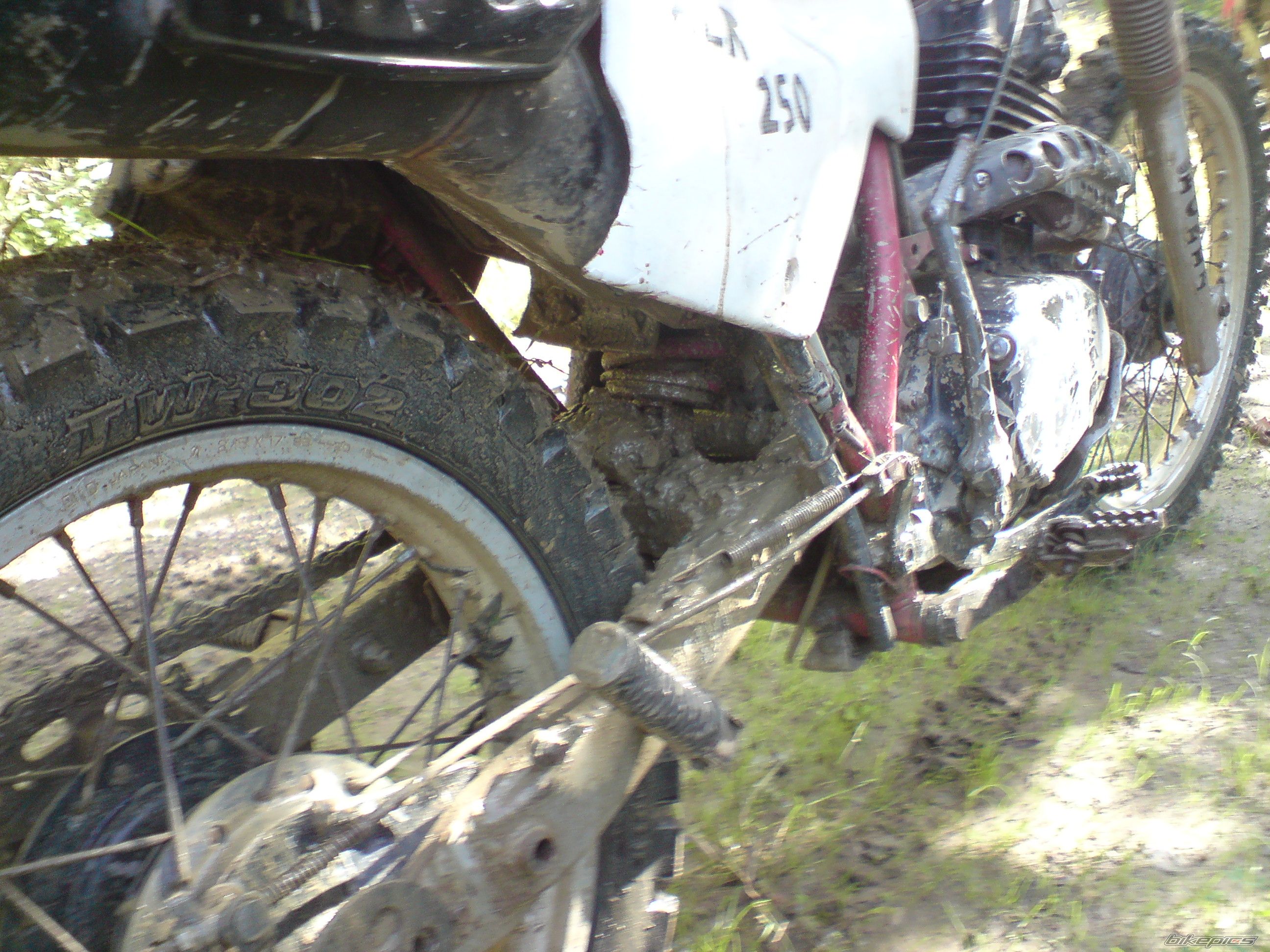 Photo 2095650