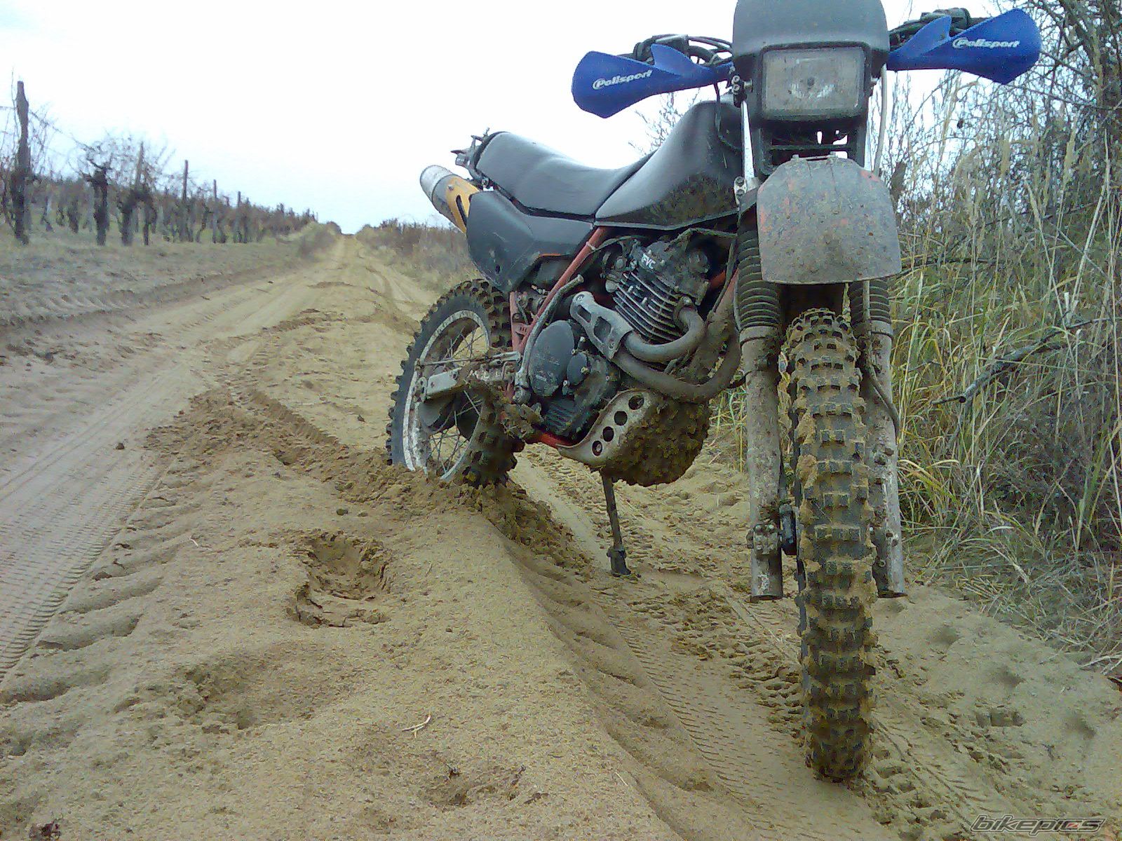 Photo 2095777
