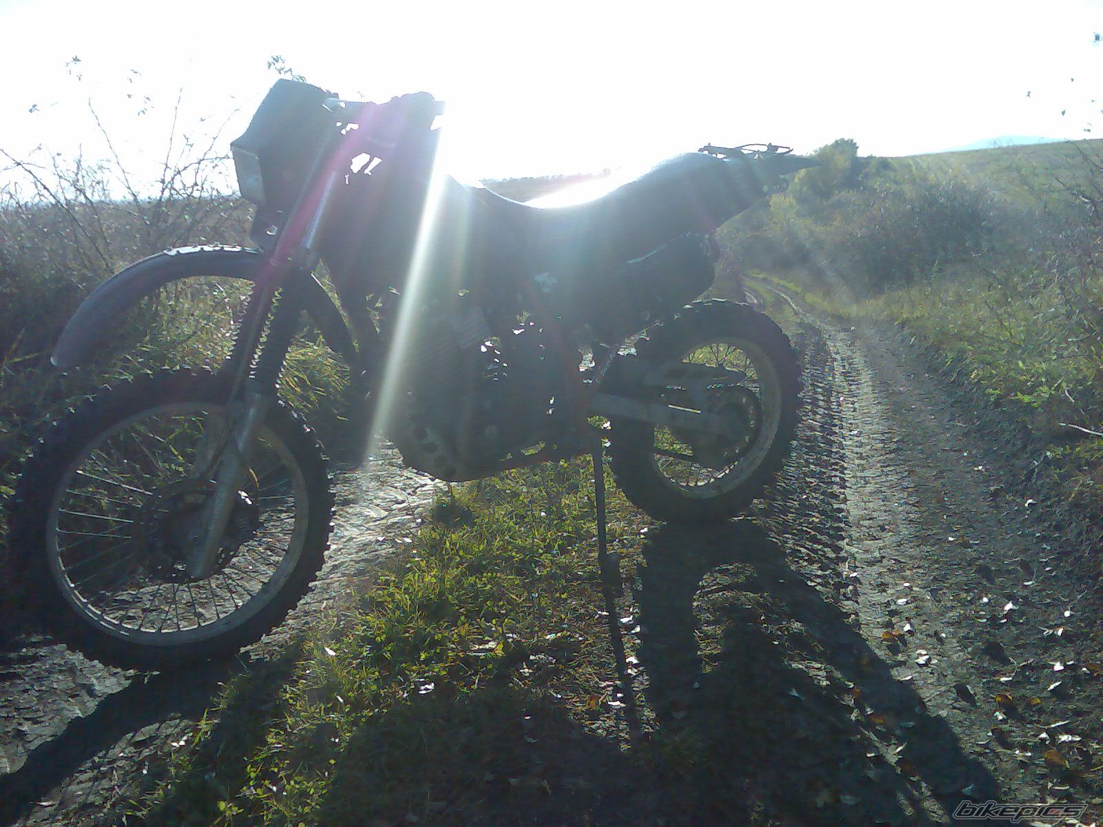 Photo 2095781