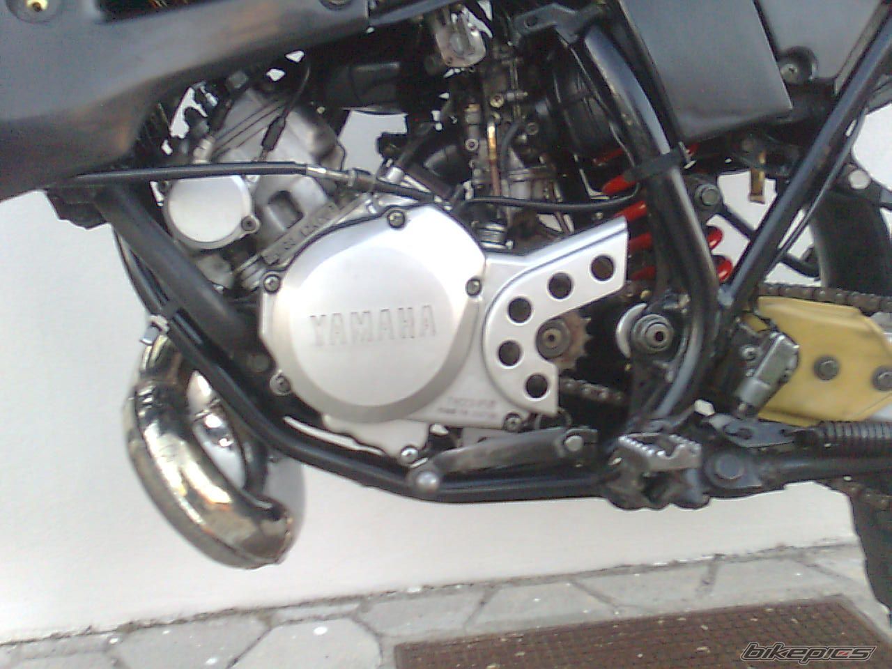 Photo 2095858