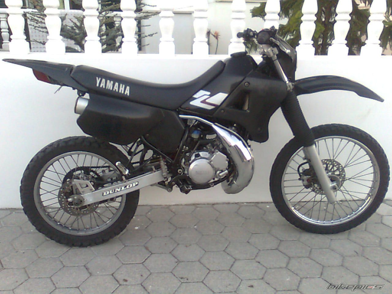 Photo 2095859