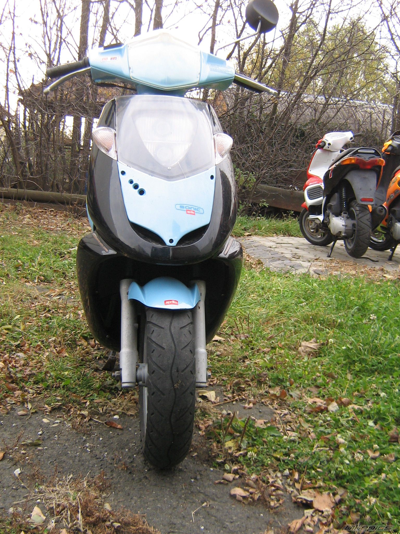 Photo 2095997