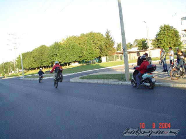 Photo 209624