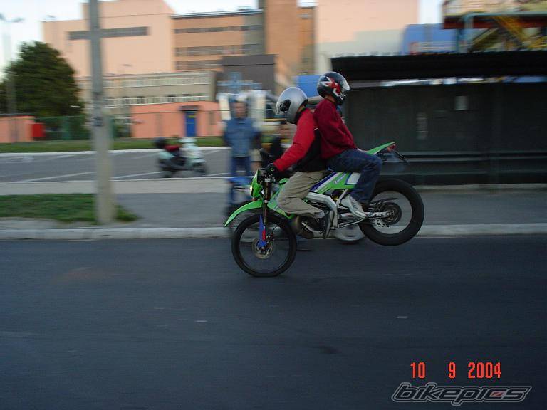 Photo 209642