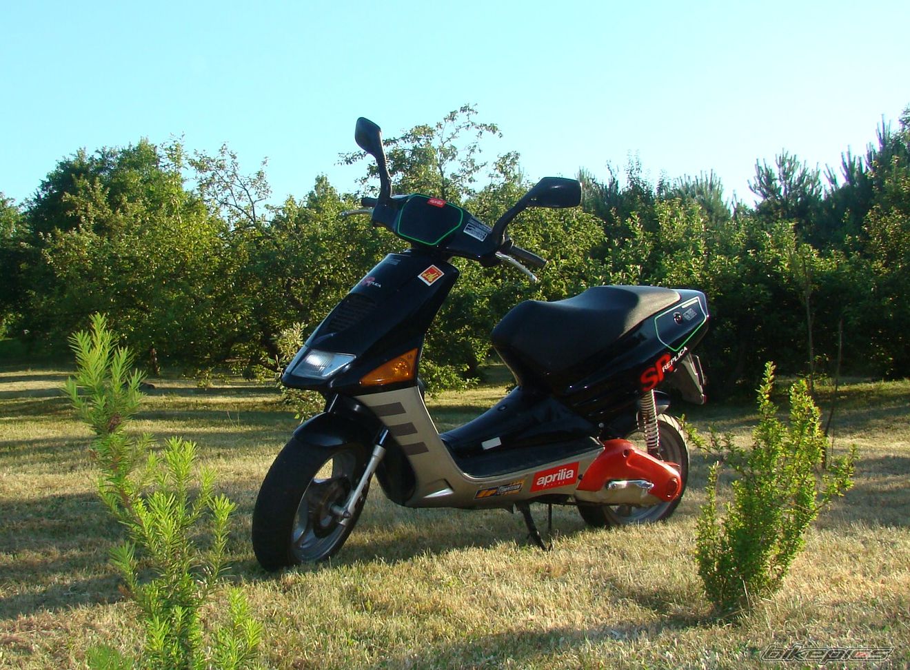 Photo 2096440