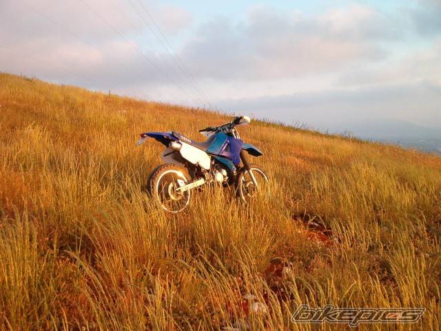 Photo 209649